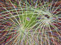 Landscapes of inside my Soul, 2008, mixed media on paper, 32 x 45 cm